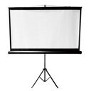 Projector Screen 100&quot; Tripod